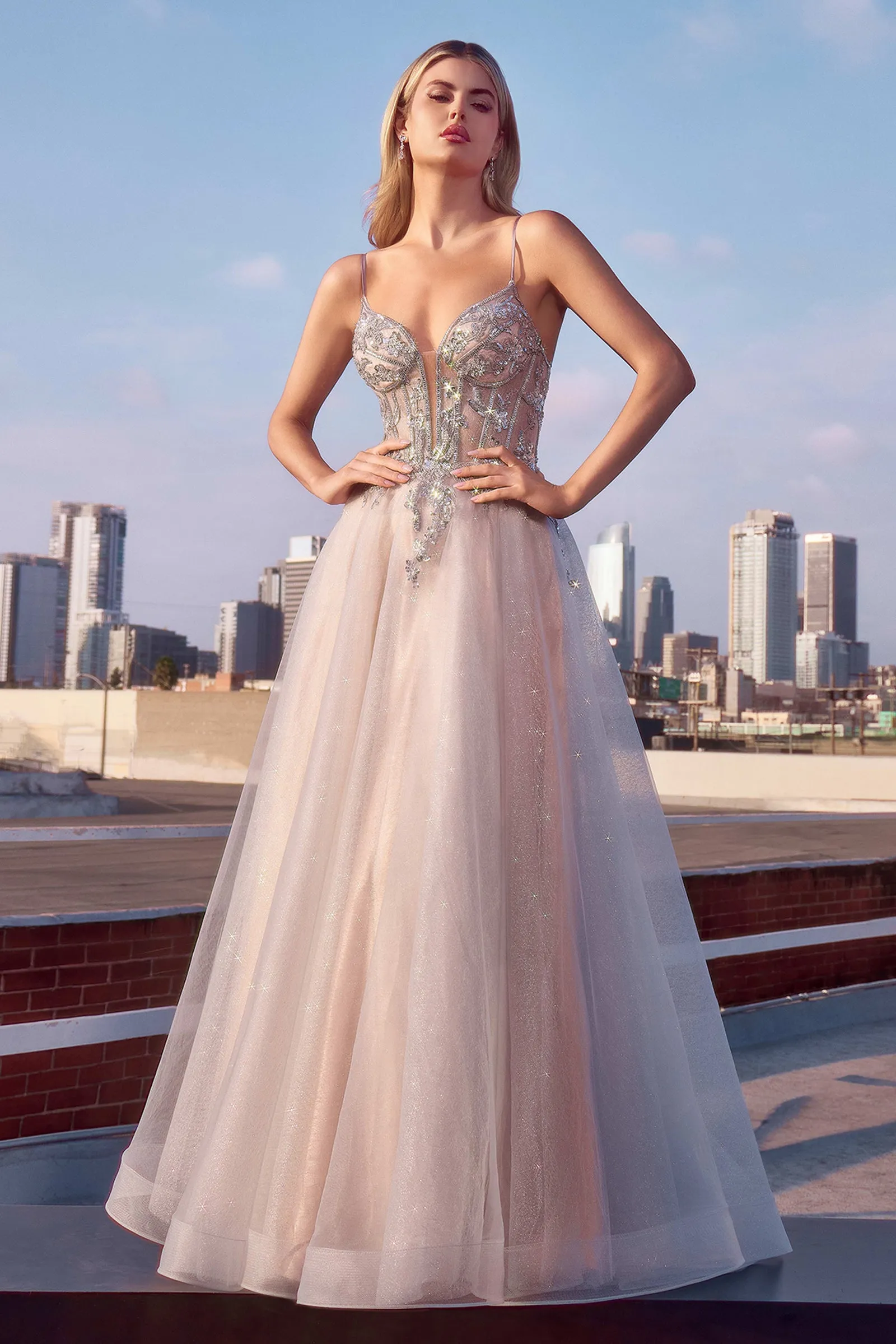CINDERELLA DIVINE CC0881 A-Line Layered Tulle Gown & Lace Embellished Bodice
