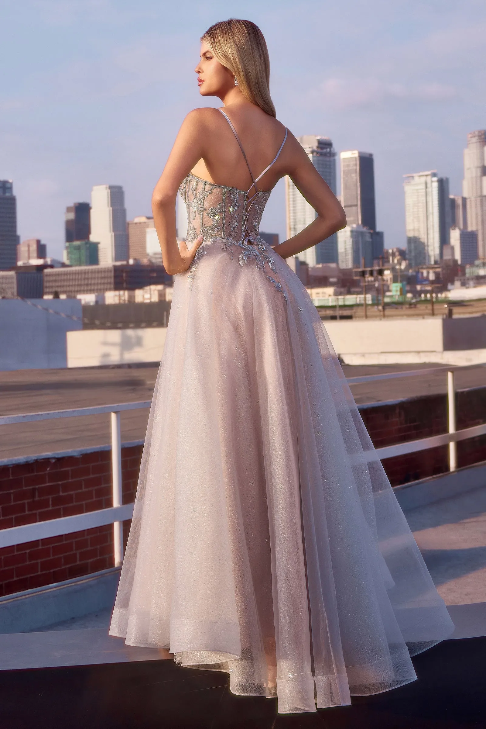 CINDERELLA DIVINE CC0881 A-Line Layered Tulle Gown & Lace Embellished Bodice