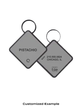 QALO TraQ Grey Silicone Dog ID Tag